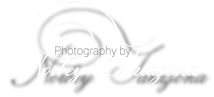 Logo Norbey Tarazona Blanco